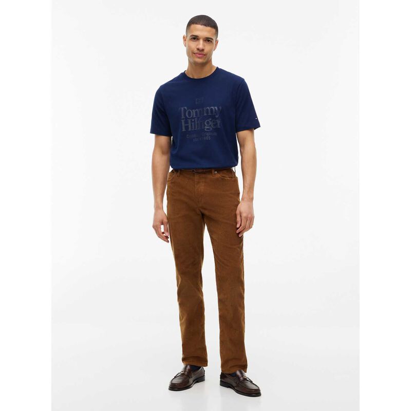 Tommy Hilfiger Tonal Graphic Jersey T-Shirt image number 3